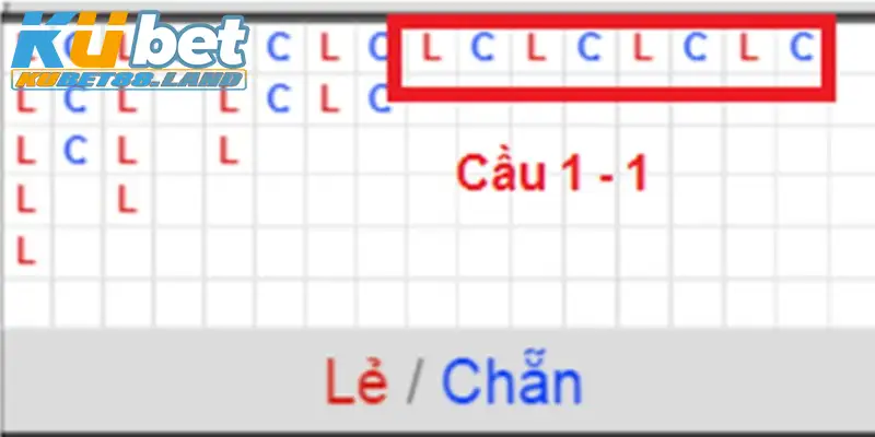 Cầu đôi 1 - 1 ít về nên cần quan sát kỹ lưỡng tránh bỏ sót