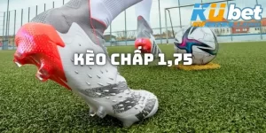 Kèo Chấp 1.75 - Lợi Ích Khi Đánh Cược Bóng Đá Online