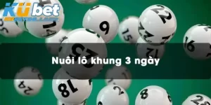 Nuôi Lô Khung 3 Ngày: Hé Lộ Tuyệt Chiêu Thắng Ngay Lần Đầu