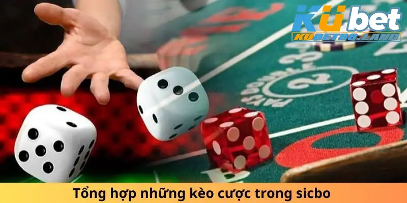 Tổng hợp những kèo cược trong sicbo 